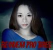 Reqiuem pro Bree